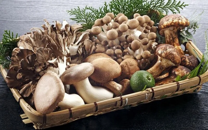 vitamin b2 co trong thuc pham nao cach bo sung dung cach